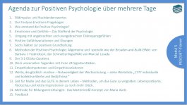 PositivePsychologie IV
