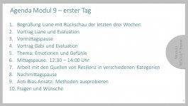 EuG IV 2