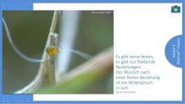 PositivePsychologie 3